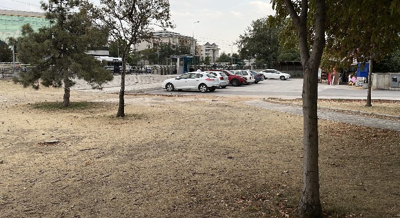 Kıskançlık arbedesi. 15 yaşındaki kız çocuğu bıçaklandı