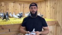 Kümeste servet besliyor. Arabayla takas etmek isteyenler var