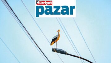 Leylekler özgürce uçabilsin, ölmesin