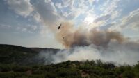 Manisa’da orman yangını. Havadan ve karadan müdahale sürüyor