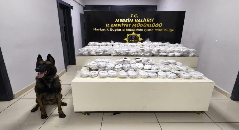 Mersin Limanı’nda 13 milyon liralık kokain operasyonu