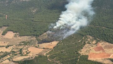 Muğla Yatağan’da orman yangını. Gruplar müdahale ediyor