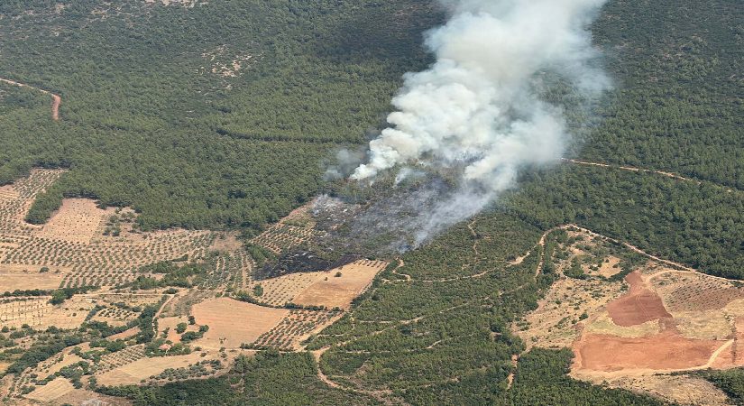 Muğla Yatağan’da orman yangını. Gruplar müdahale ediyor