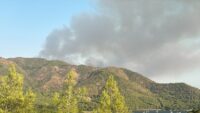 Muğla’nın Marmaris ilçesinde çıkan orman yangınına müdahale ediliyor.