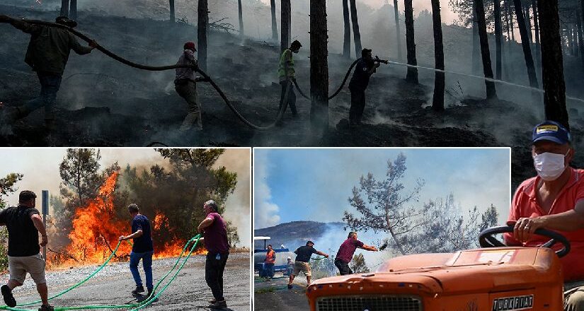 Orman yangınları ile uğraş. Söndürülen yangın yeniden alevlendi