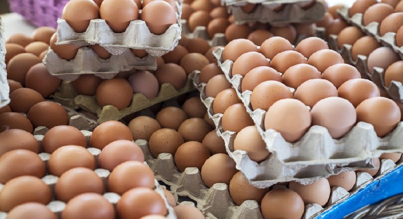 Sağlıklı ömrün yıldızıydı! Protein için dikkat çeken ihtar