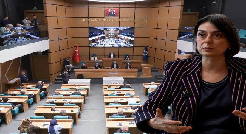 Sinem Dedetaş tutuklanmıştı. Üsküdar Belediyesinde başkanvekili seçiliyor