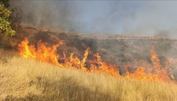 Tunceli’de orman yangını: Takımlar müdahale ediyor