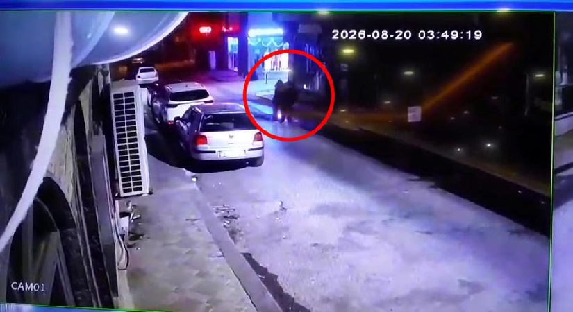 Üç kardeşin gizemli mevti. Tek renk giyinerek kol kola yürümüşlerdi, bu kere not defteri ortaya çıktı