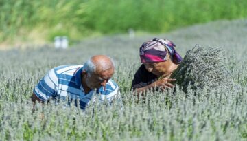 Ümitle yetiştirdi, gözyaşlarıyla anlattı. Eserlerine müşteri bulamadılar