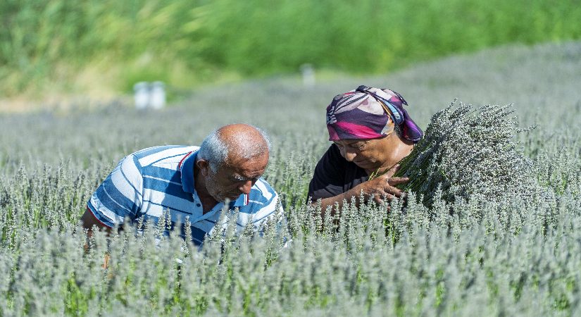 Ümitle yetiştirdi, gözyaşlarıyla anlattı. Eserlerine müşteri bulamadılar