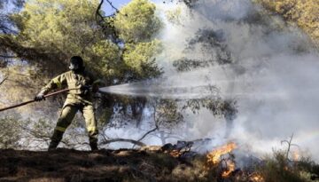 Yunanistan’ın Salamina Adası’nda orman yangını