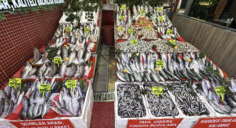 1 Eylül’de “Vira Bismillah” dediler. Bolluk tezgaha yansıdı