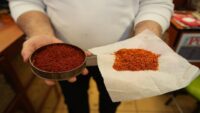 150 bin çiçekten yalnızca 1 kilo çıkıyor. Gramı 900 TL, yararları saymakla bitmiyor