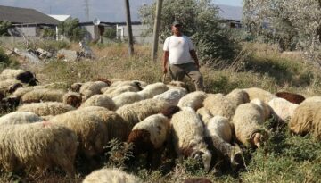 80 bin TL maaş veriyor, çalışacak adam bulamıyor. 40 derece sıcakta şiddetli mesai