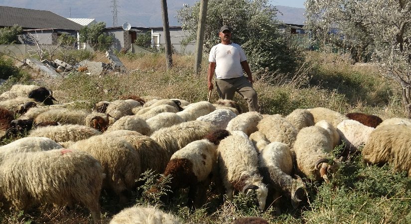 80 bin TL maaş veriyor, çalışacak adam bulamıyor. 40 derece sıcakta şiddetli mesai