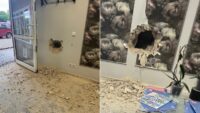 “Acemi hırsızlar” bankaya giremeyince, Türk kuaförü soydu