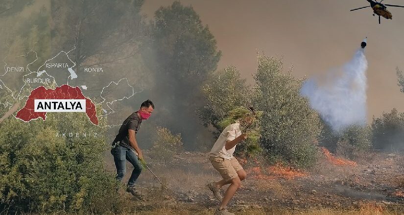 Adana, Antalya ve Mersin’de orman yangını. Alevlerle uğraş sürüyor, yüzlerce konut tahliye edildi