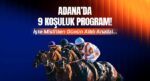 Adana’da 9 koşuluk program! İşte Misli’den günün altılı tahlili…