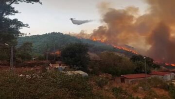 Antalya’da orman yangını. Alevler rüzgarın tesiriyle büyüdü