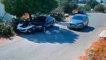 Arabayla iki köpeğin üzerinden geçti, yoluna devam etti