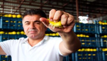 Bahçede 5 TL ancak markette 100 TL’den alıcı buluyor. Tam 20 katlık fiyat uçurumu