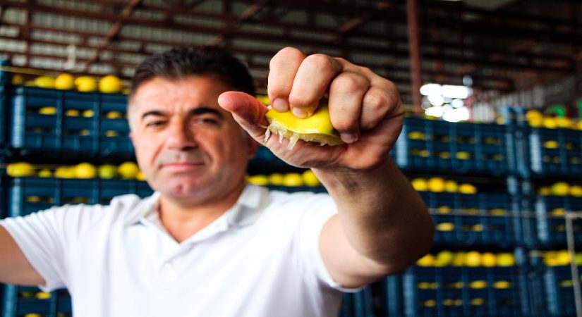 Bahçede 5 TL ancak markette 100 TL’den alıcı buluyor. Tam 20 katlık fiyat uçurumu