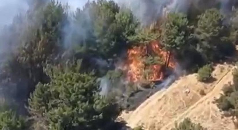 Balıkesir’deki orman yangını denetim altında