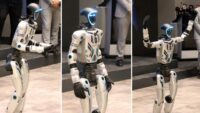 Bir aydır eğitiliyordu, insan görünümlü robot belediyede işe başladı