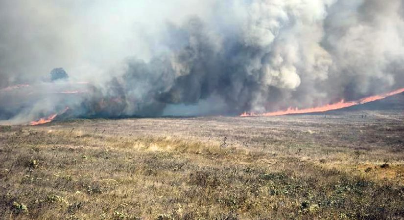 Bursa’da orman yangını: Takımlar alevlere müdahale ediyor
