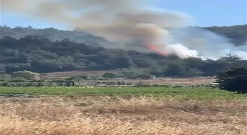 Bursa’da orman yangını. Takımlar müdahale ediyor