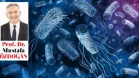 CRISPR devrimi başladı mı? Manşetlerin ardındaki gerçekler