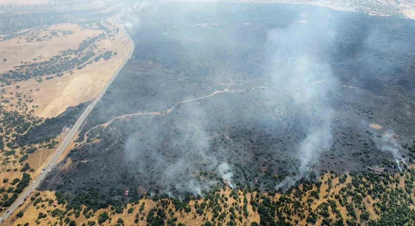 Elazığ’daki orman yangını denetim altında