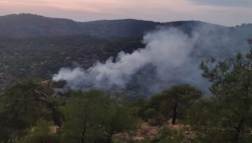 Gaziantep’te orman yangını: 4 dönüm alan ziyan gördü