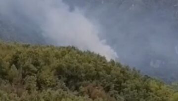 Hatay’da orman yangını. Gruplar müdahale ediyor