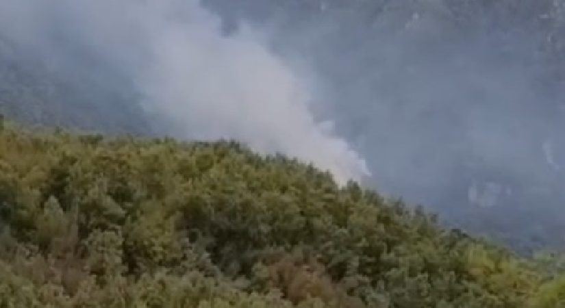 Hatay’da orman yangını. Gruplar müdahale ediyor