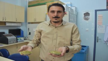 İzmir kekiği için ”reçeteyle satılsın” daveti. ”Antibiyotik direnci geliştirebilir”