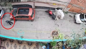 Kan donduran imaj: Alkollü adam kediye şiddet uyguladı