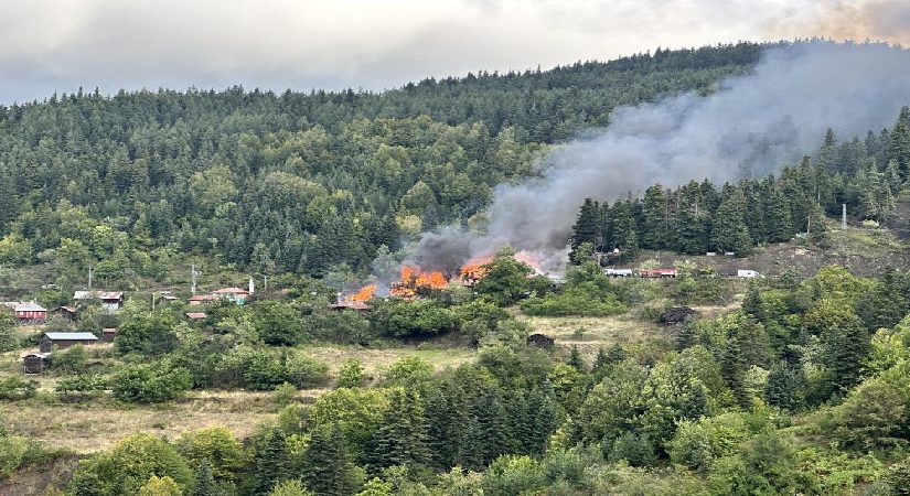 Kastamonu’da köy yangını. Alevler yedi meskene sıçradı, müdahale sürüyor