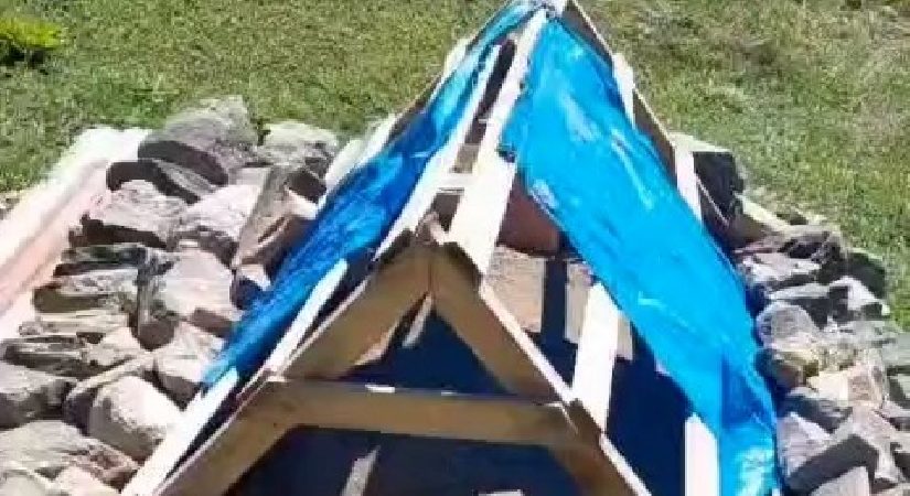 Rizeli vatandaşın ayı kabusu: Devayı mezara köpek sesi kurmakta buldu