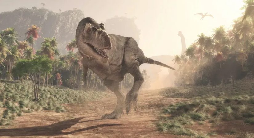 T-rex ile insanın ortak özelliği keşfedildi