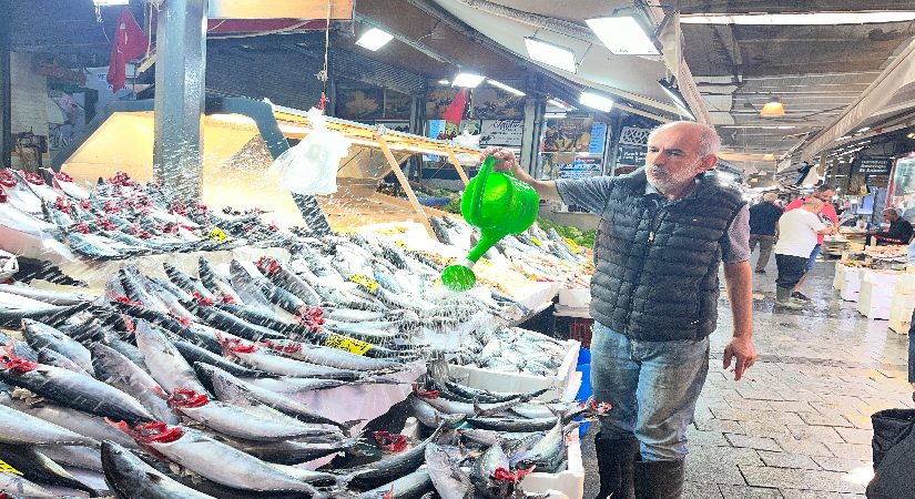Tezgahların şampiyonu oldu, tanesi 100 lira. Bu yıl bolluk yaşanıyor