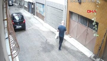 Vicdanları yaralayan manzara: Kedilerin mama kaplarını çöpe attılar