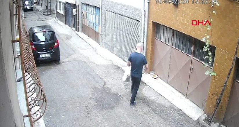 Vicdanları yaralayan manzara: Kedilerin mama kaplarını çöpe attılar