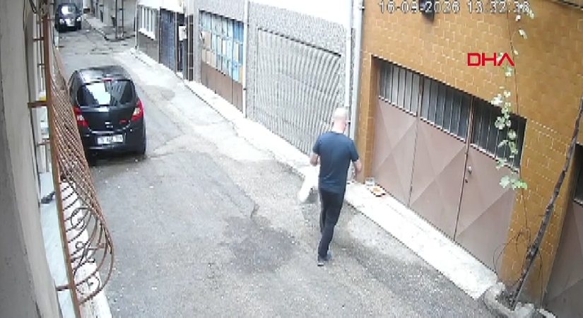 Vicdanları yaralayan manzara: Kedilerin mama kaplarını çöpe attılar