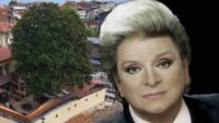 Zeki Müren’in Manolyam müziğine ilham vermişti. 300 yıllık ağaç birinci günkü üzere korunuyor