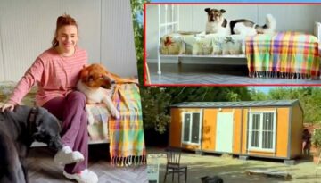 Ceylan Ertem köpeklerine konut aldı! İçini tek tek kendi hazırladı…