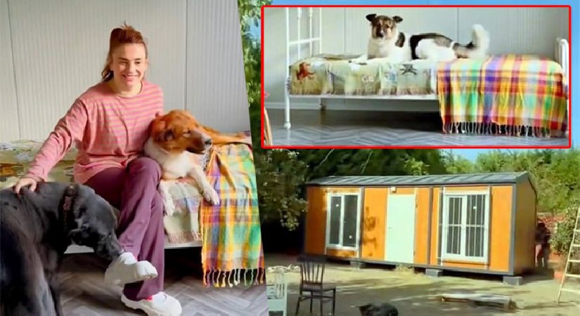 Ceylan Ertem köpeklerine konut aldı! İçini tek tek kendi hazırladı…