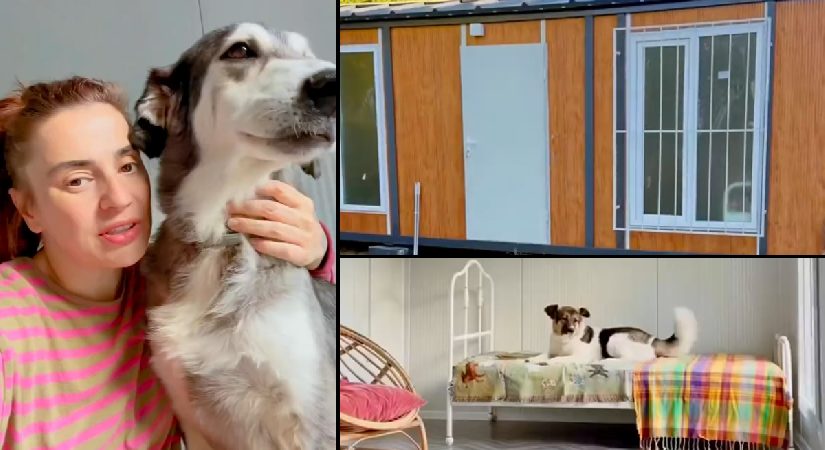 Ceylan Ertem’den köpeklerine özel mesken. Tüm detaylarla kendisi ilgilendi