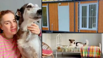 Ceylan Ertem’den köpeklerine özel mesken. Tüm detaylarla kendisi ilgilendi
